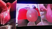 Cumshot Cumdump Will you eat ALL of my CUM Big Cumshots Compilation Cumshot Cumming Cuckold Cum Bowl Cum Dump Paradise Solo Gokkun Bukkake