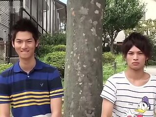 Seiya chàng trai trẻ