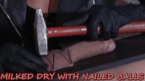 MISTRESS ISIDE - MILKED DRY WITH NAILED BALLS mobile version