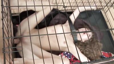 Cute slave girl was let from the cage for blowing and banging her master