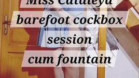 Miss cataleya Barefoot cockboxsession 07 cum fountain