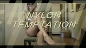 Nylon Temptation mp4