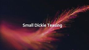 Small Dickie Teasing *wmv*