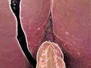 *Special FX* Dirty talking whore loves how you fuck her. EXTREMELY wet&creamy. Stacey38G