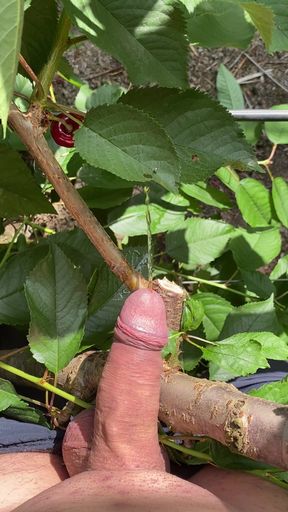Handjob