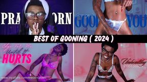 Best Of Gooning ( 2024 )