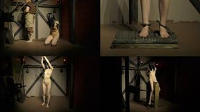 The Demonica in The Inquisition Prison Part 2