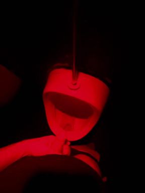 Compilation of Amateur Pissing in Different Kinds of Public Toilets