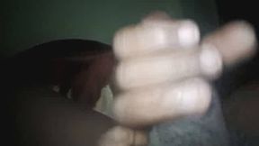 Sega jela