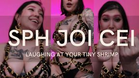 SPH JOI CEI:LAUGHING AT YOUR TINY SHRIMP