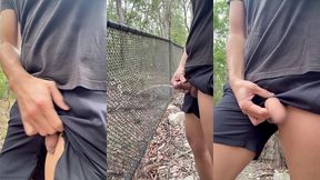 flash splash on fences