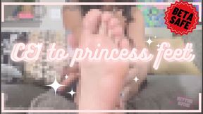 CEI TO PRINCESS FEET PIXEL RIP OFF