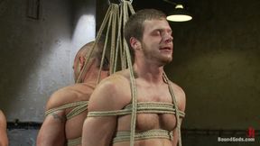 Single Tail, Electricity and Suspension - Live Shoot