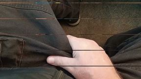 Horny on the Train