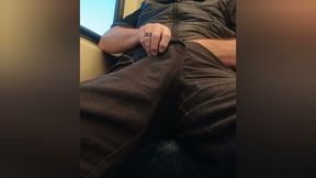 Horny on the Train