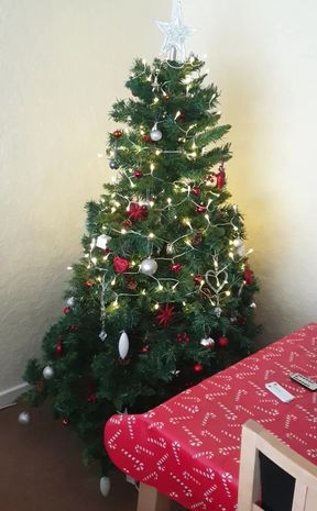 Trying to Sort These Christmas Tree Lights Out 3 Remote Controls and Have to Climb Across the Table