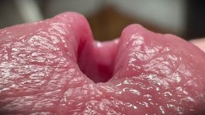 Cumshot Close-up