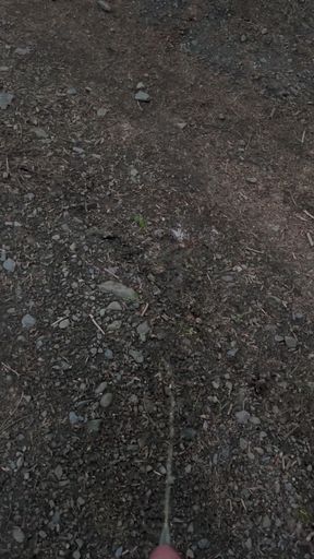 Man with big cock flashes his erection outdoors while jacking off