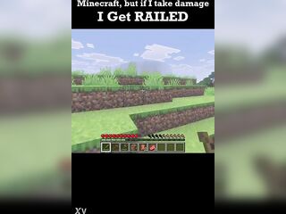 Minecraft but if i take injury i get..railed?