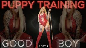 PUPPY TRAINING - GOOD BOY MINDFUCK PART 3 ( 33mins)