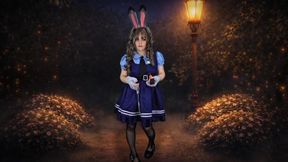 Officer's Discretion