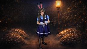 Officer's Discretion