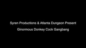 Gi-Normous Donkey Cock Gang Bang (1080p)