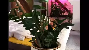 The Secret Fountain