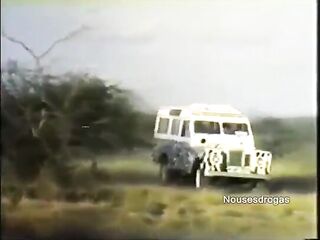 the large weenie tribe