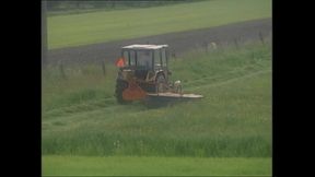 Sloppy Seconds Creampie Eating Video