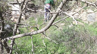 Hairy Hairy Milf Public Amateur Outdoor Caught Dick Flashing
