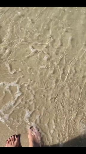 I Love the Sea and the Sun