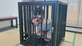 Metal bondage, struggle, and discipline 01