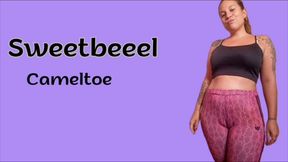 Pink Cameltoe Impossible to Ignore: Leggings So Tight They'll Take Your Breath Away