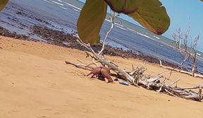 Ladysilva was filmed hiding tanning her hot ass on the beach