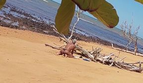 Ladysilva was filmed hiding tanning her hot ass on the beach