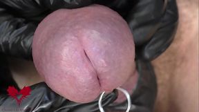 This is Close Up Extreme. Main frontal view. Latex gloves, detailled peehole and cumshot.