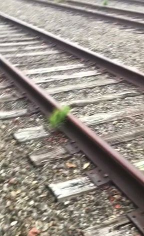 Quick Traintrack Jack