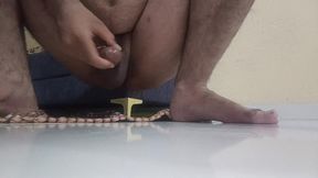 How Did My Backyard Feel?