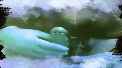 Wilder Video 28