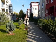 Upskirt NO PANTIES at Shoping MALL