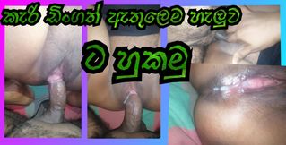 Sri Lankan wife fuck dogy and cum swallow in pussy closeup