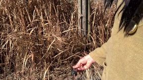 Self-training No. 97: Outdoor Peeing and Tacky Pussy Exposure Collection