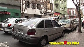 Tranniesrus - sultry shemale fuck large bbc in public
