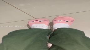 Cat Socks