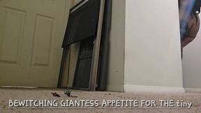 BEWITCHING GIANTESS APPETITE FOR THE tiny