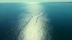 whorassic park - rebecca goodwin