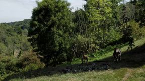 whorassic park - rebecca goodwin