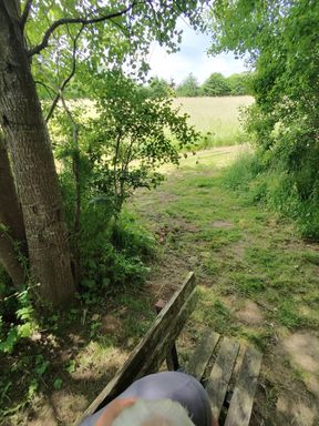 Sex in the forest. I love that.