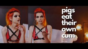 Pigs Eat Their Own Cum